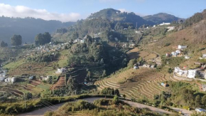 Kodai Breeze